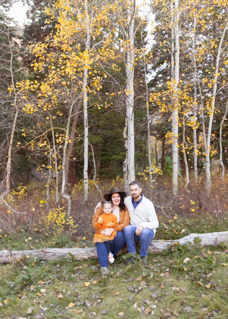 2023 Family Mini Sessions family sitting on log in front of aspen trees with yellow leaves